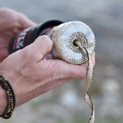 Rapid Rope Canister -Outdoor Equipment Store RRPC6010det5 05809.1640877901