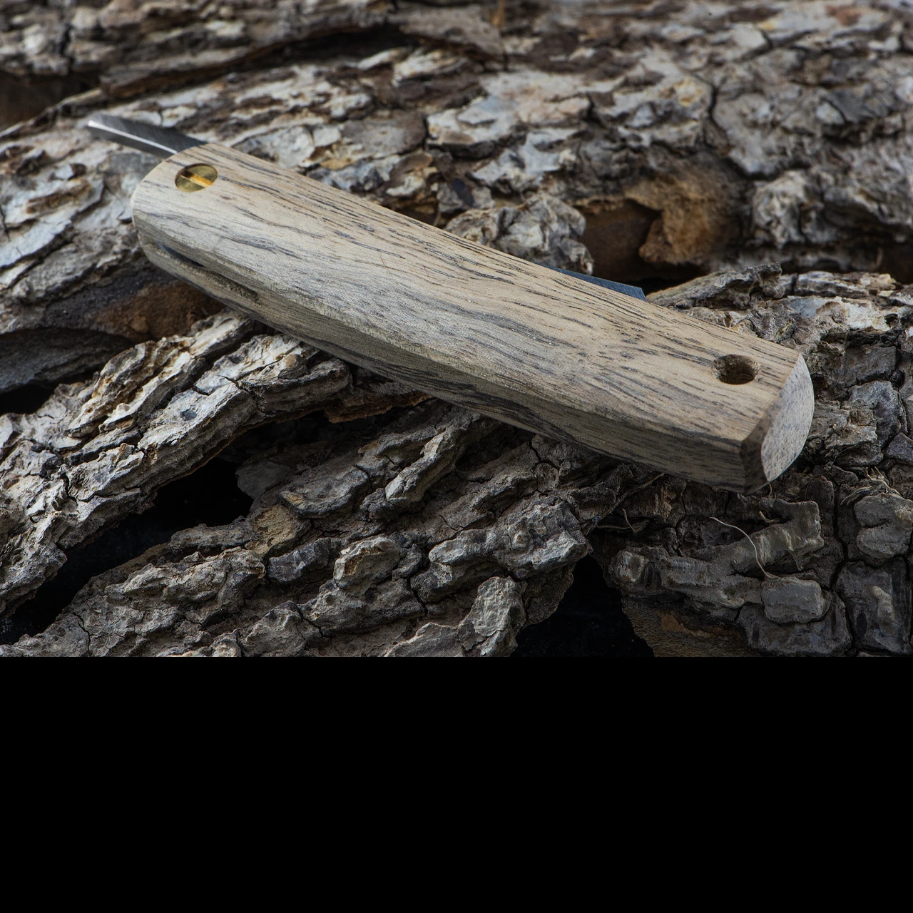 Kotoh Black Persimmon D2 1 Kotoh Black Persimmon D2