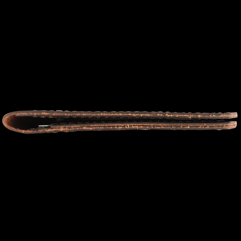 Trayvax Explorer Passport 1 Trayvax Explorer Passport